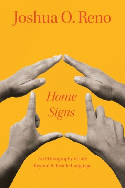 Home Signs - An Ethnography of Life beyond and beside Language