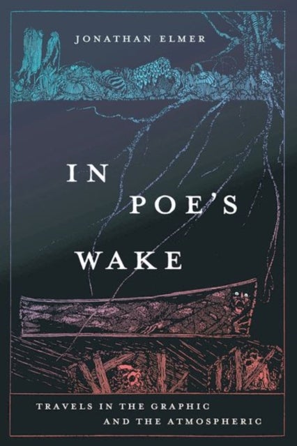 In Poe's Wake - Travels in the Graphic and the Atmospheric