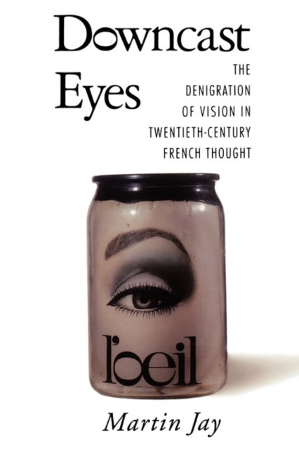 Downcast Eyes - The Denigration of Vision in Twentieth-Century French Thought