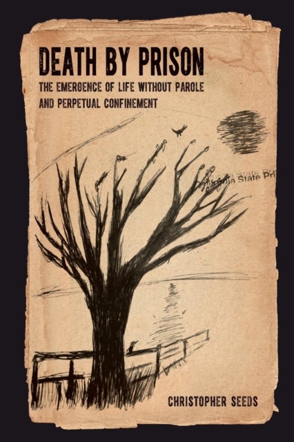 Death by Prison - The Emergence of Life without Parole and Perpetual Confinement