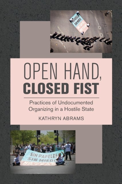 Open Hand, Closed Fist - Practices of Undocumented Organizing in a Hostile State