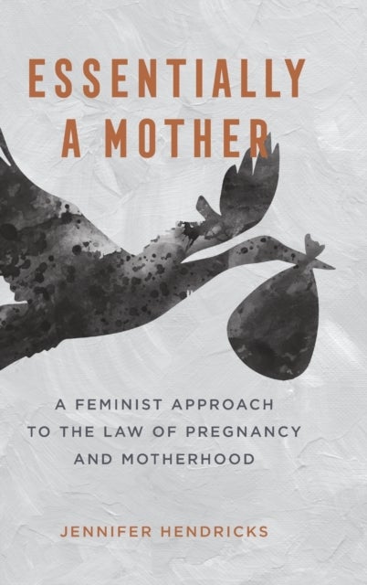 Essentially a Mother - A Feminist Approach to the Law of Pregnancy and Motherhood