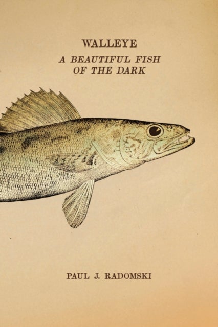 Walleye - A Beautiful Fish of the Dark