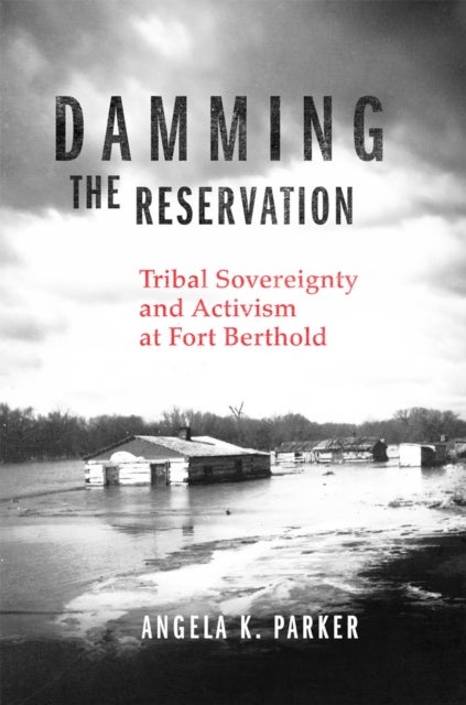 Damming the Reservation Volume 23 - Tribal Sovereignty and Activism at Fort Berthold