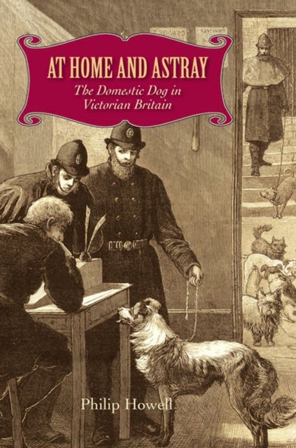 At Home and Astray - The Domestic Dog in Victorian Britain