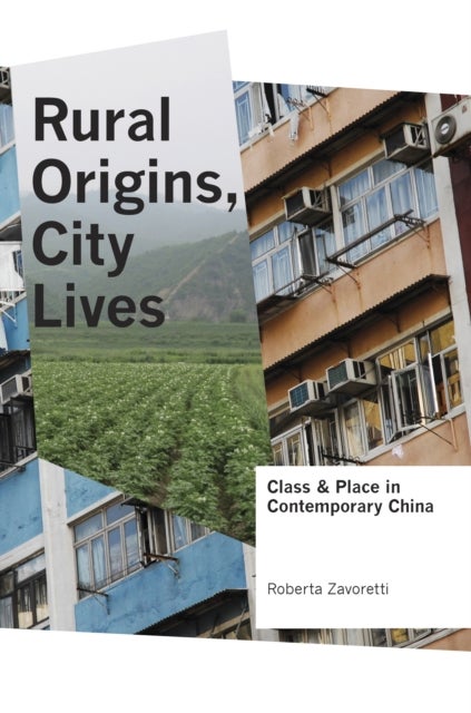 Rural Origins, City Lives - Class and Place in Contemporary China