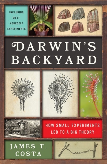 Darwin's Backyard - How Small Experiments Led to a Big Theory