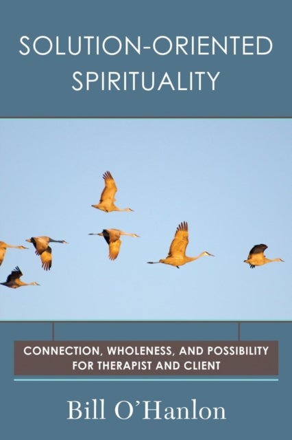 Solution-Oriented Spirituality - Connection, Wholeness, and Possibility for Therapist and Client
