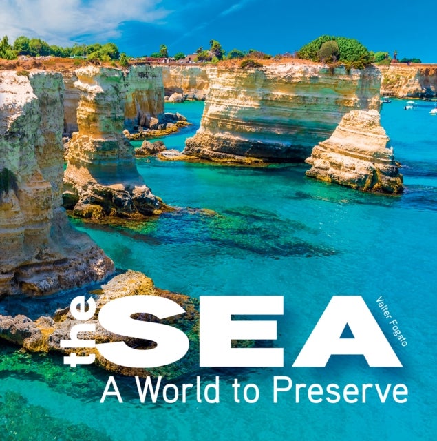 The Sea - A World to Preserve