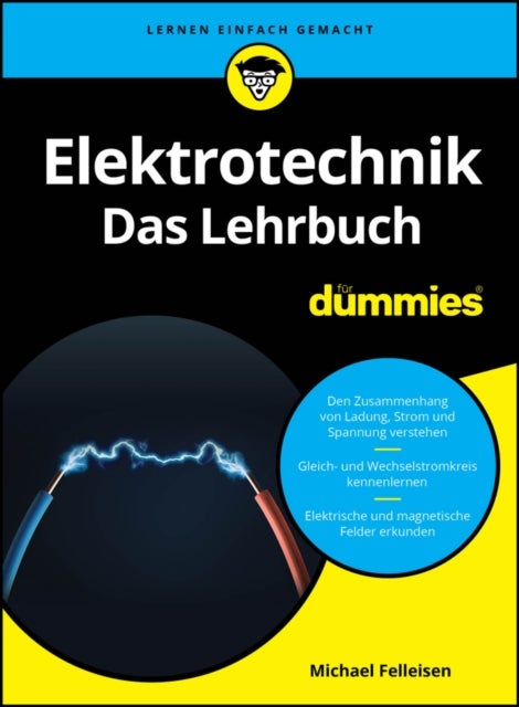 Elektrotechnik fur Dummies. Das Lehrbuch