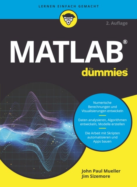 Matlab fur Dummies