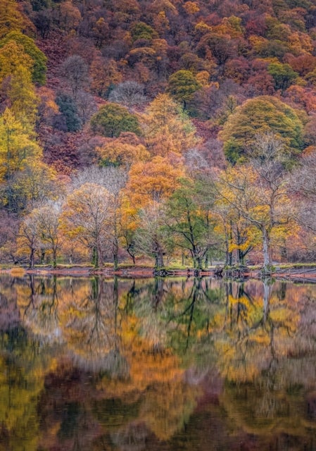 Reflections Upon Autumn 40 Piece Puzzle