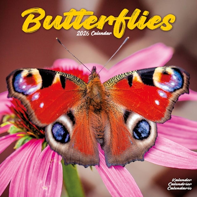 Kalender 2026 30x30 Butterflies