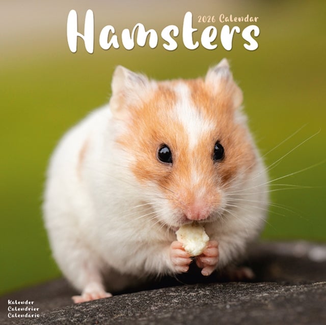 Kalender 2026 30x30 Hamsters