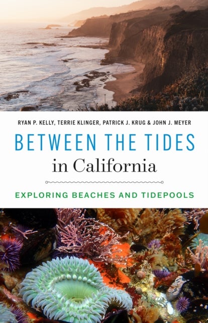 Between the Tides in California - Exploring Beaches and Tidepools