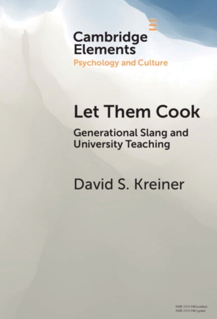 Let Them Cook - Generational Slang and University Teaching