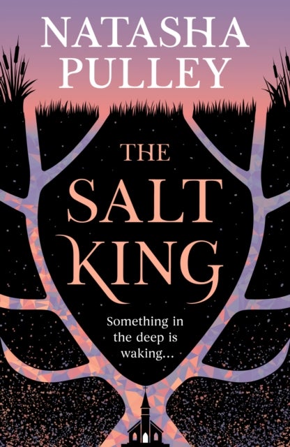 The Salt King - An end of the world thriller, packed with dazzling wit and romance