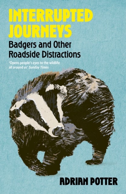 Interrupted Journeys - Badgers and Other Roadside Distractions