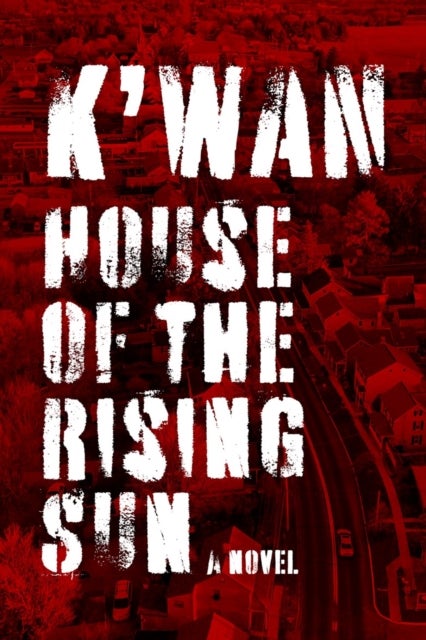 House of the Rising Sun - Brotherhood of Blood: Book 1