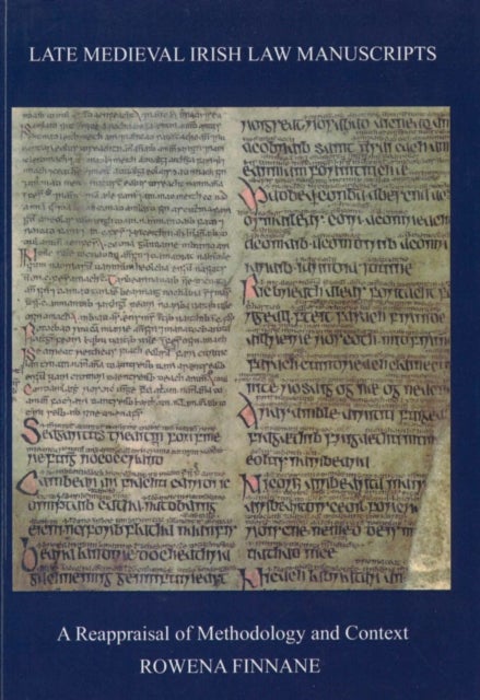 Late Medieval Irish Law Manuscripts - A Reappraisal of Methodology and Content