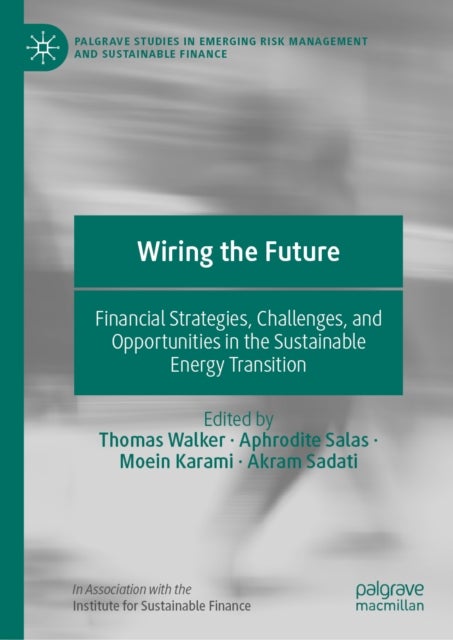 Wiring the Future - Financial Strategies, Challenges, and Opportunities in the Sustainable Energy Transition