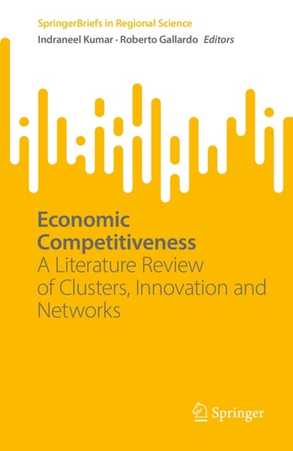 Economic Competitiveness - A Literature Review of Clusters, Innovation and Networks