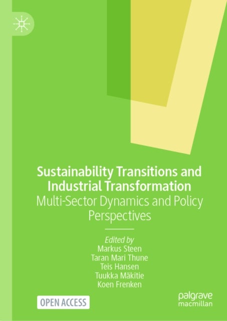 Sustainability Transitions and Industrial Transformation - Multi-Sector Dynamics and Policy Perspectives
