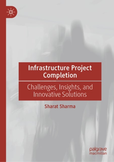 Infrastructure Project Completion - Challenges, Insights, and Innovative Solutions