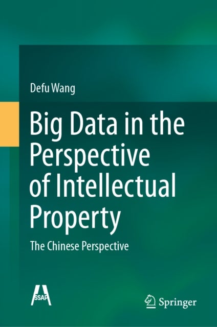 Big Data in the Perspective of Intellectual Property - The Chinese Perspective