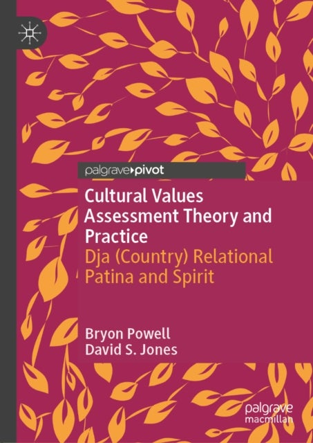 Cultural Values Assessment Theory and Practice - Dja (Country) Relational Patina and Spirit