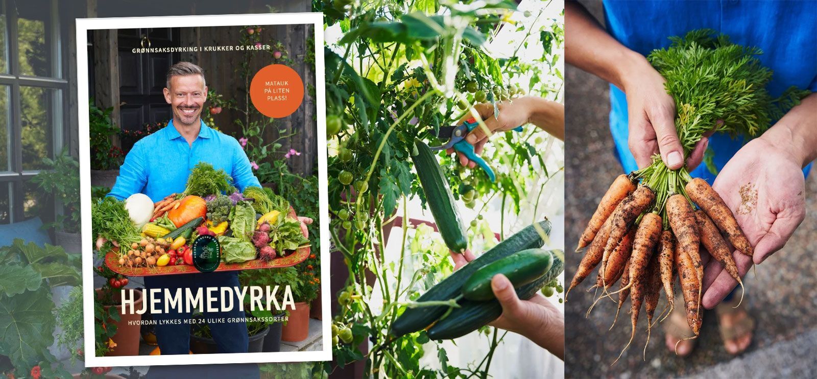 Hjemmedyrka av Anders Røyneberg