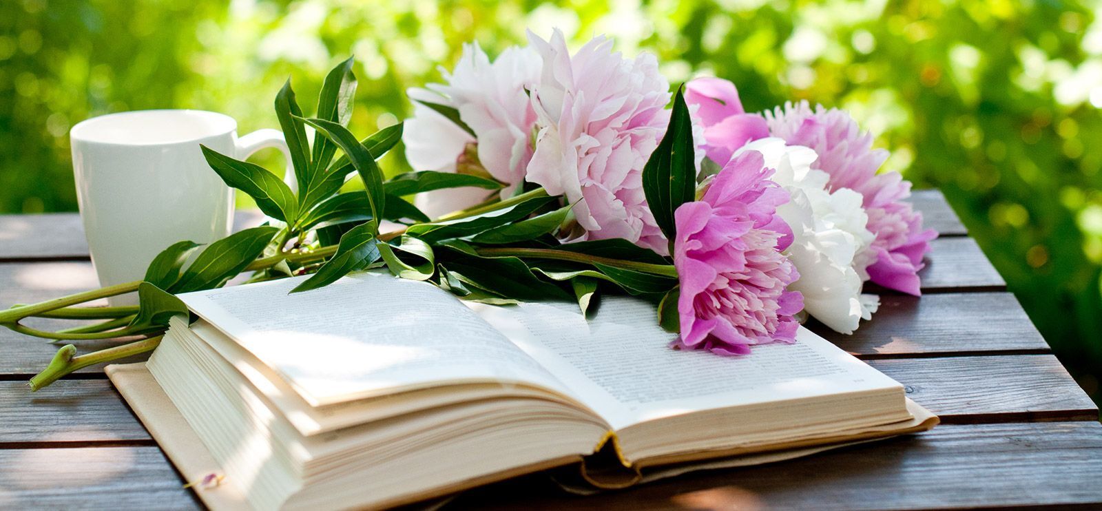 Sommer er lesetid! Foto: ggala