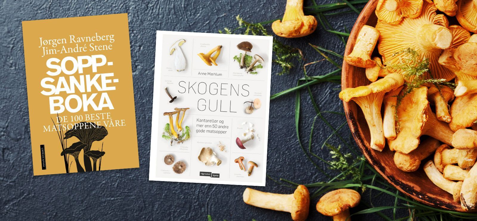 Bli god på å plukke sopp med en ordentlig god soppbok!