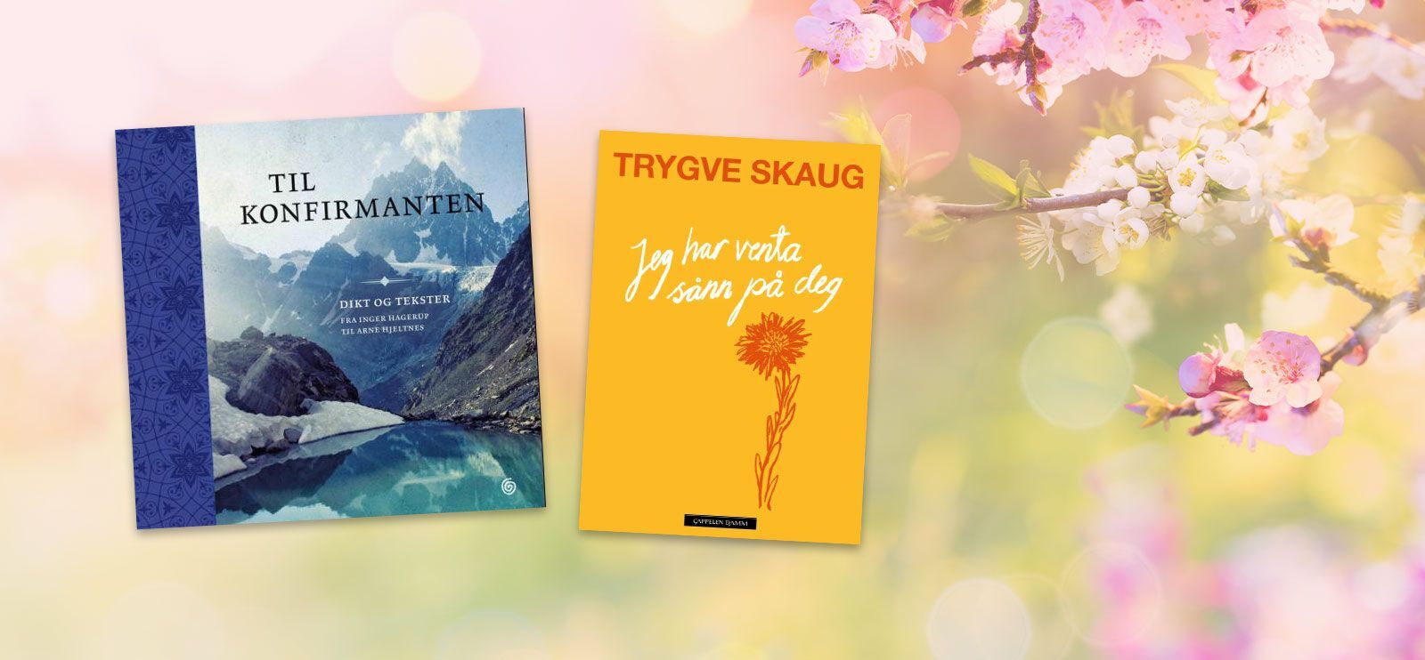 Gavetips! En vakker diktbok er en klassisk konfirmasjonsgave.