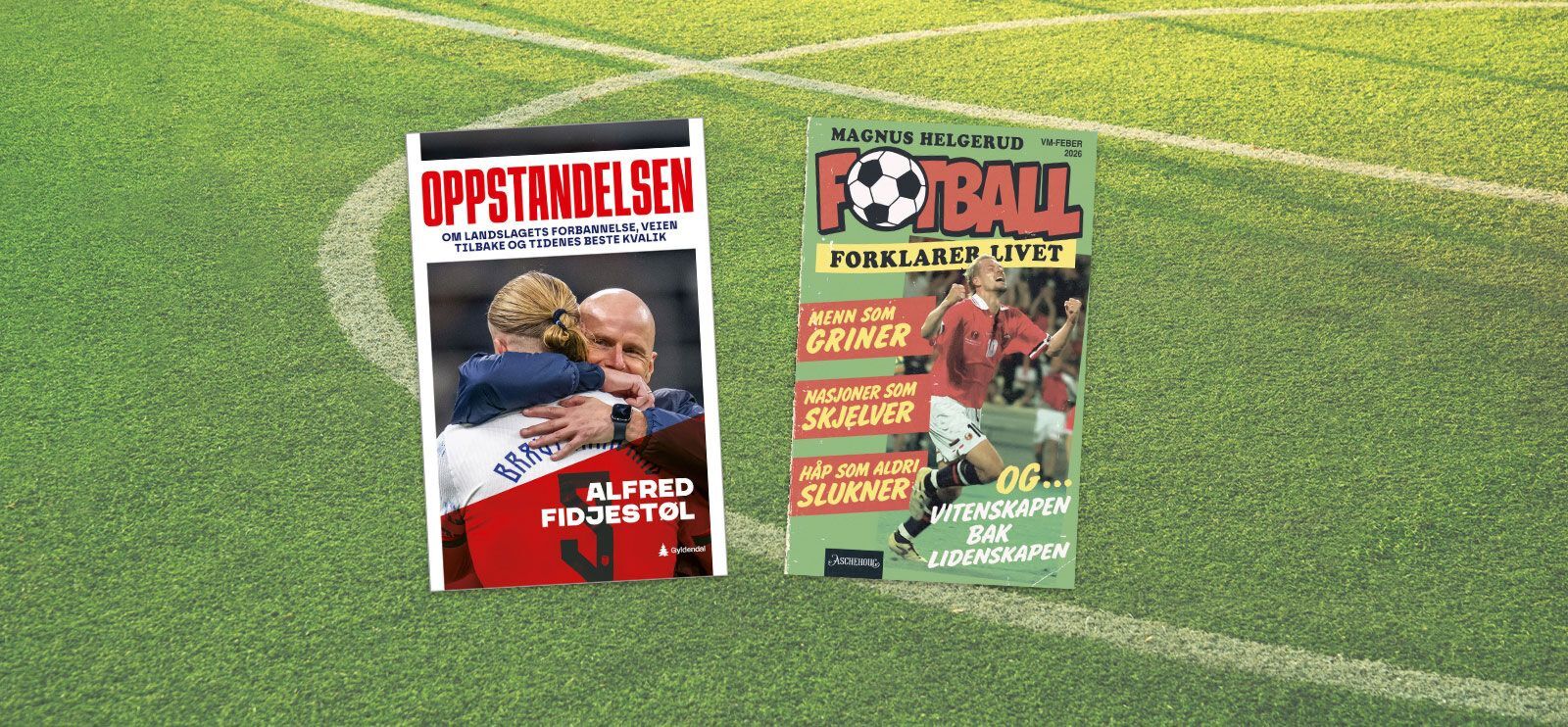 En rekke gode fotballbøker kommer i forbindelse med VM!