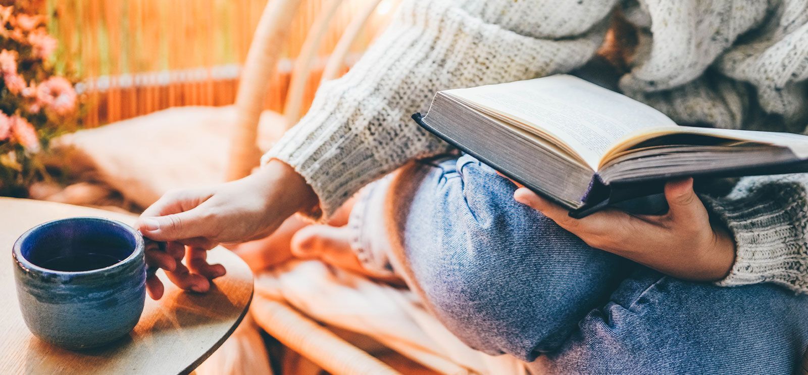 Tid for bokhøst! Foto: Mariia Korneeva