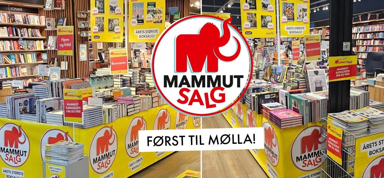 På Mammutsalget kan du finne hundrevis av billige bøker!