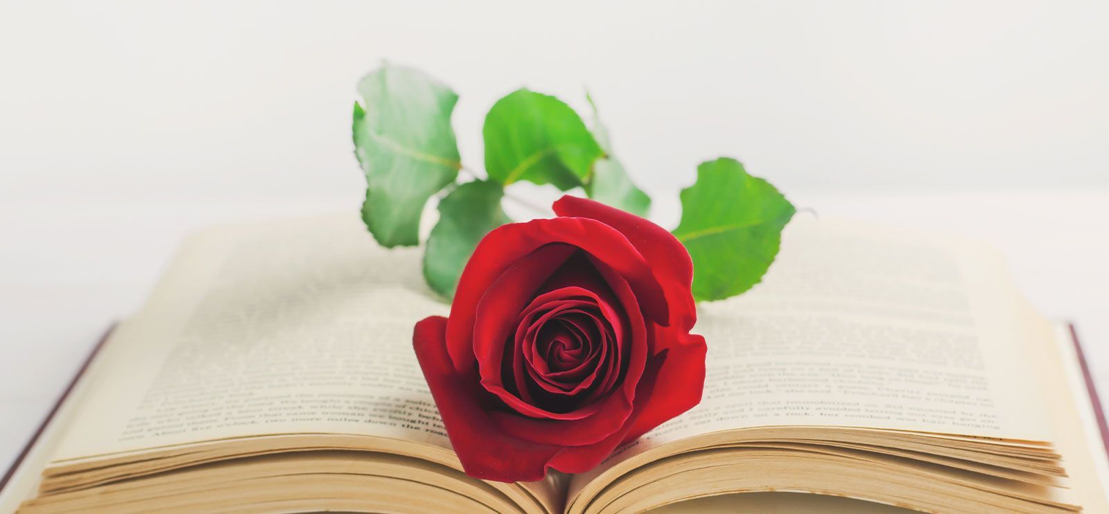 Marker verdens bokdag med roser og bøker. Foto: Adobe Stock