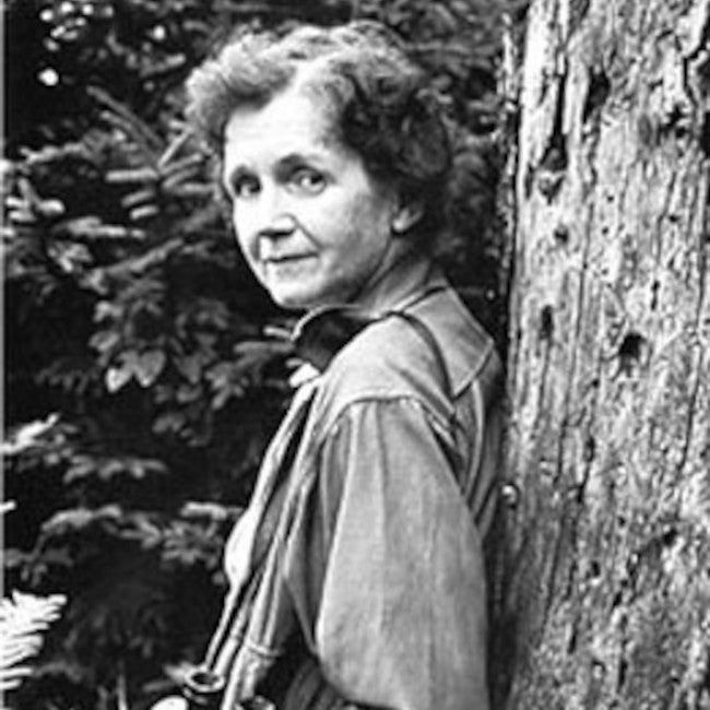 Rachel Carson