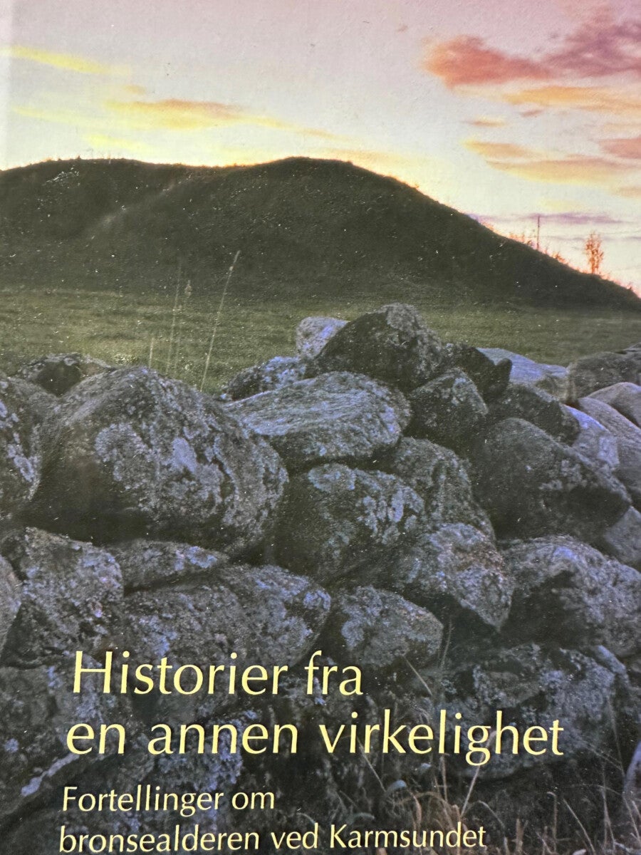 Historier fra en annen virkelighet - Fortellinger om bronseladeren ved Karmsundet