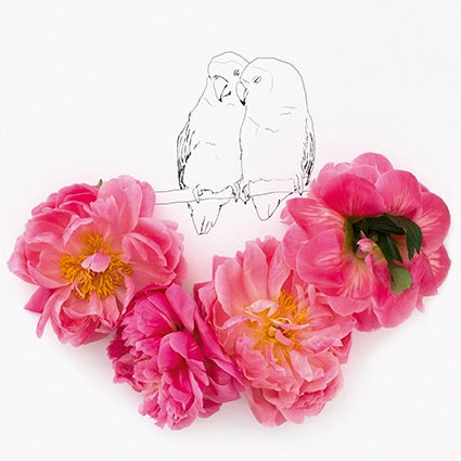 Kort 15X15 Kari Herer Lovebirds