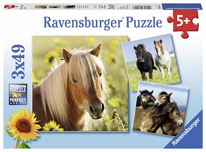 Puslespill 3X49 Hester Ravensburger - Ravensburger