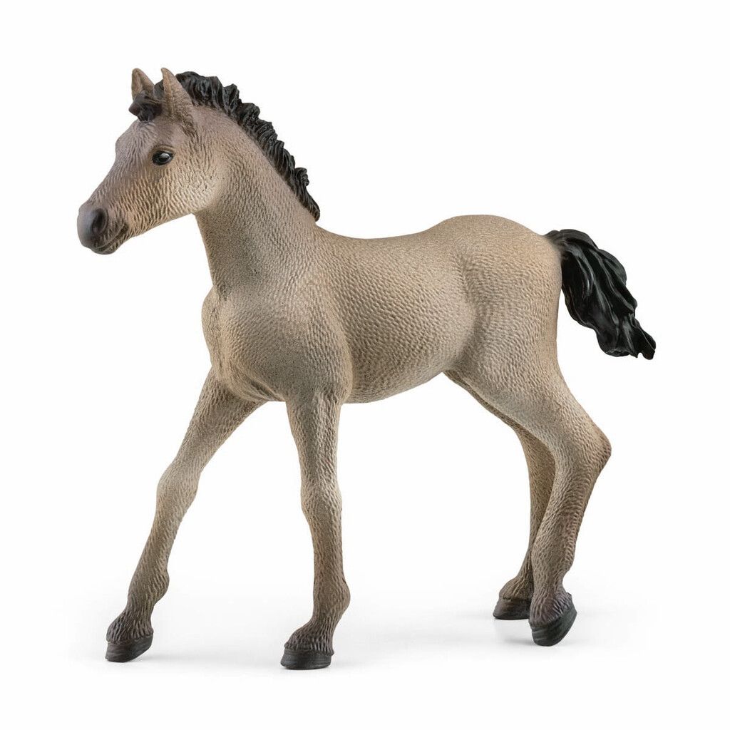 Schleich Criollo Definitivo Føll