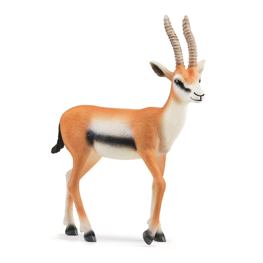 Schleich Thomsongaselle