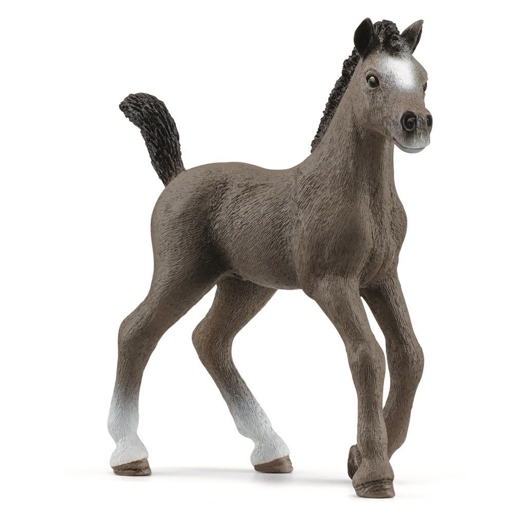 Schleich Selle Francais føll
