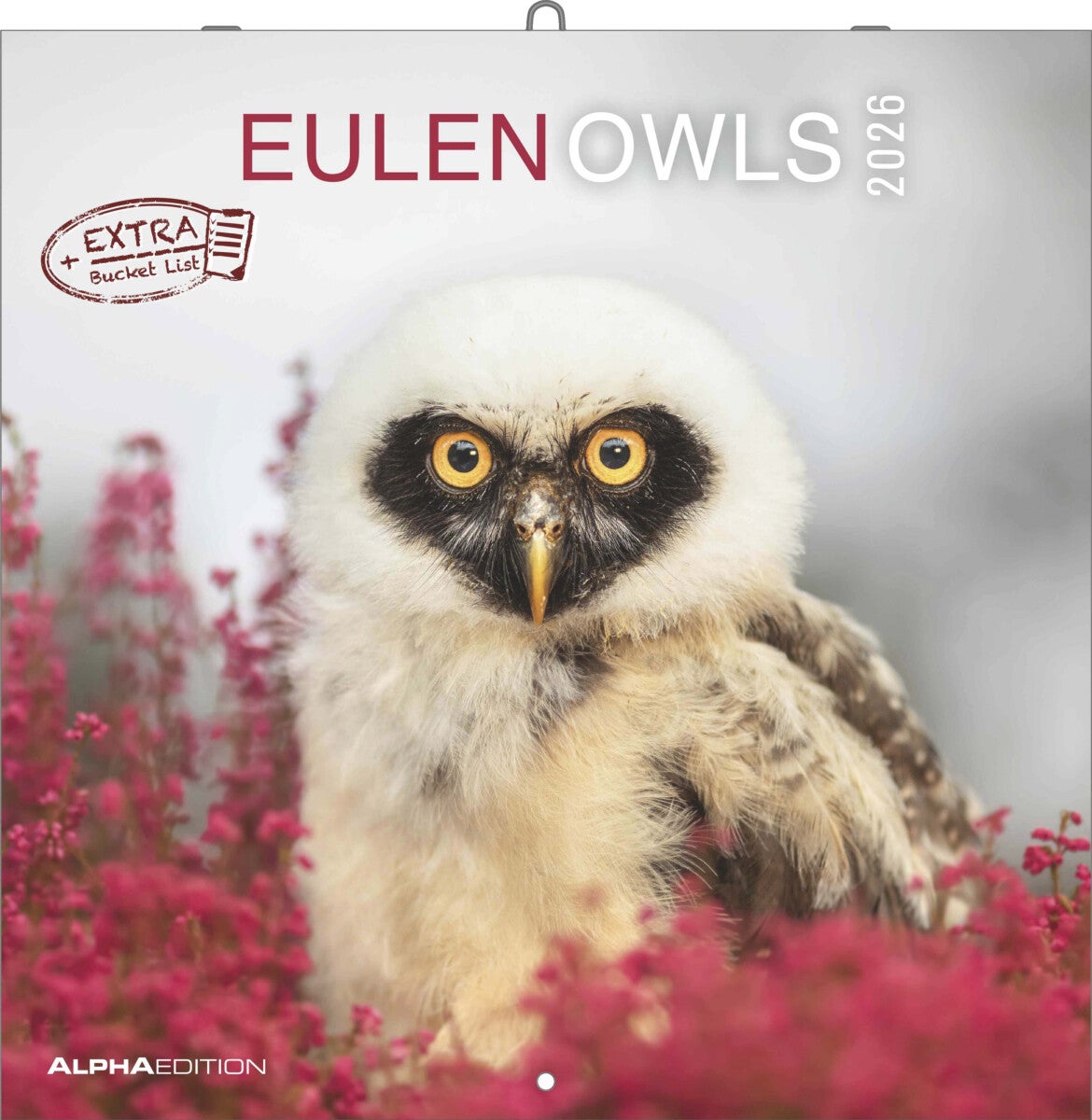 Kalender 2026 30x30 Owls