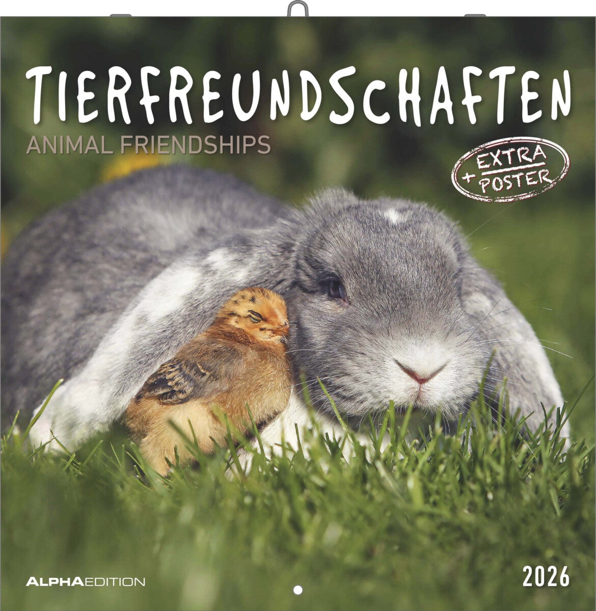 Kalender 2026 30x30 Animal Friendships
