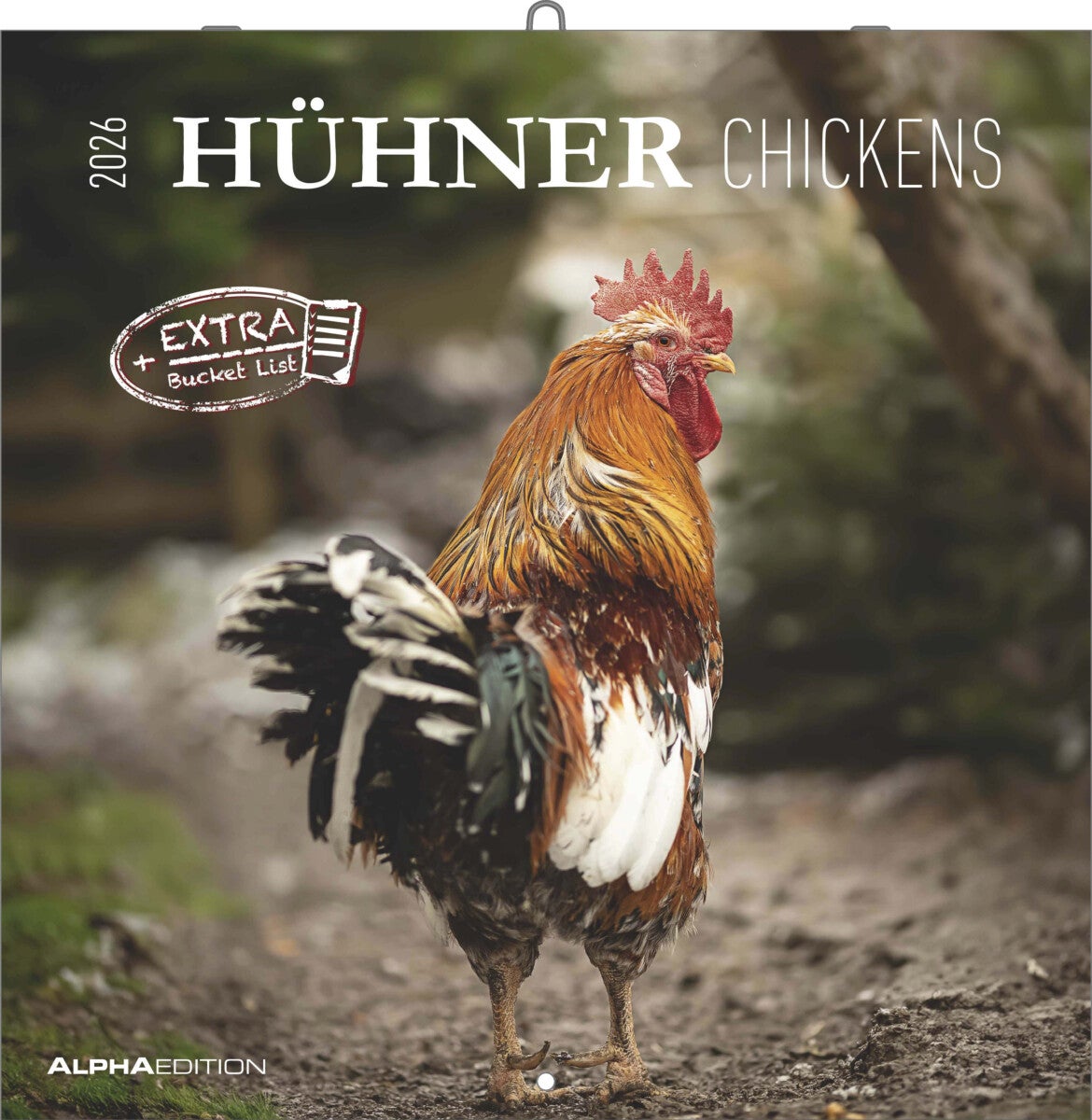 Kalender 2026 30x30 Chickens