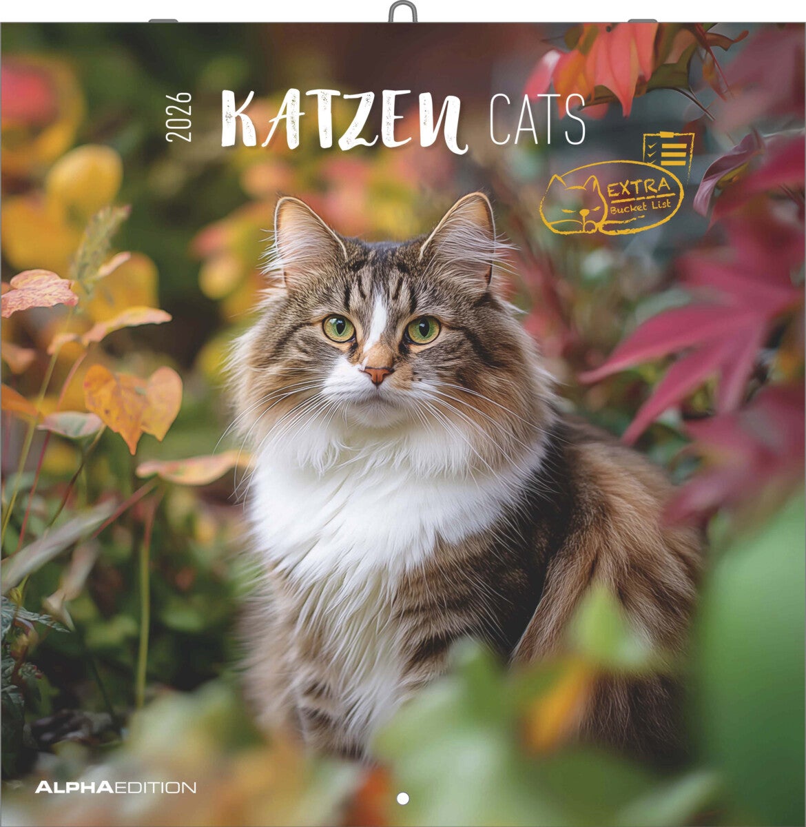 Kalender 2026 30x30 Cats