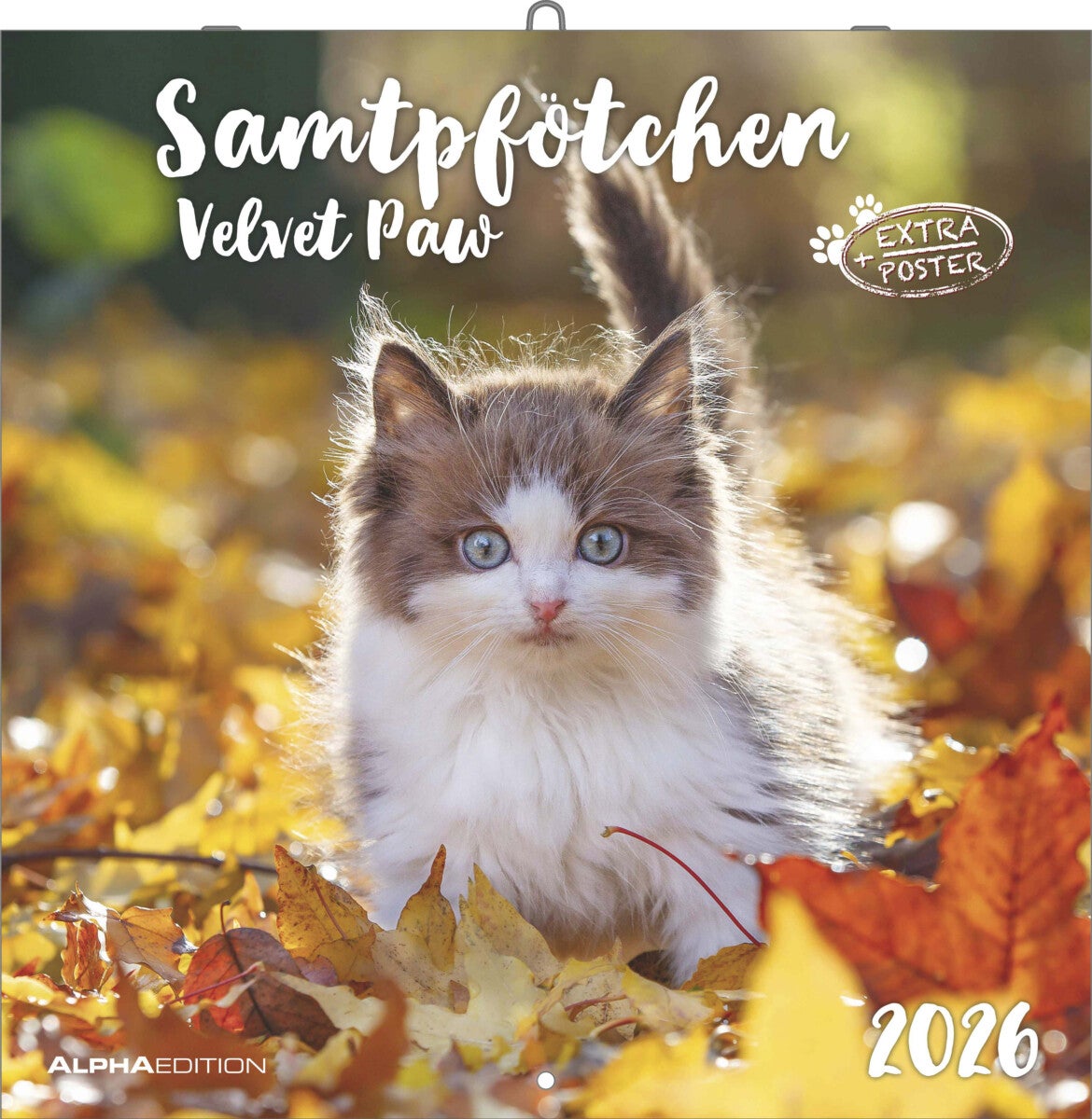 Kalender 2026 30x30 Velvet Paw
